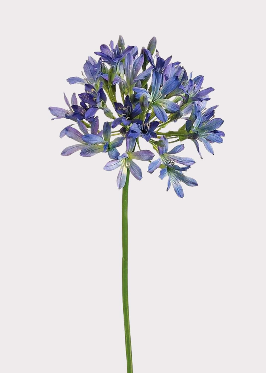 Purple and Blue Artificial Agapanthus - 35" by Radial