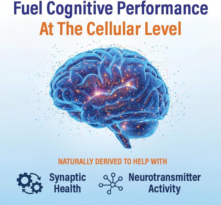 Brain Supplements for Memory and Focus (60 Capsules) | Brain Health Supplements for Adults & Seniors - Plant-Based Brain Booster for Mental Clarity & Brain Fog, Made in USA
