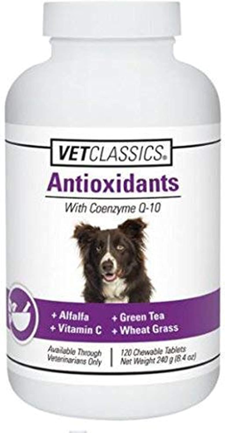 Coenzyme Q-10 Antioxidant Dog Supplement – Pet Health Supplement for Dogs – Supports Overall Dog Wellness, Aging – Includes Green Tea, Vitamin C