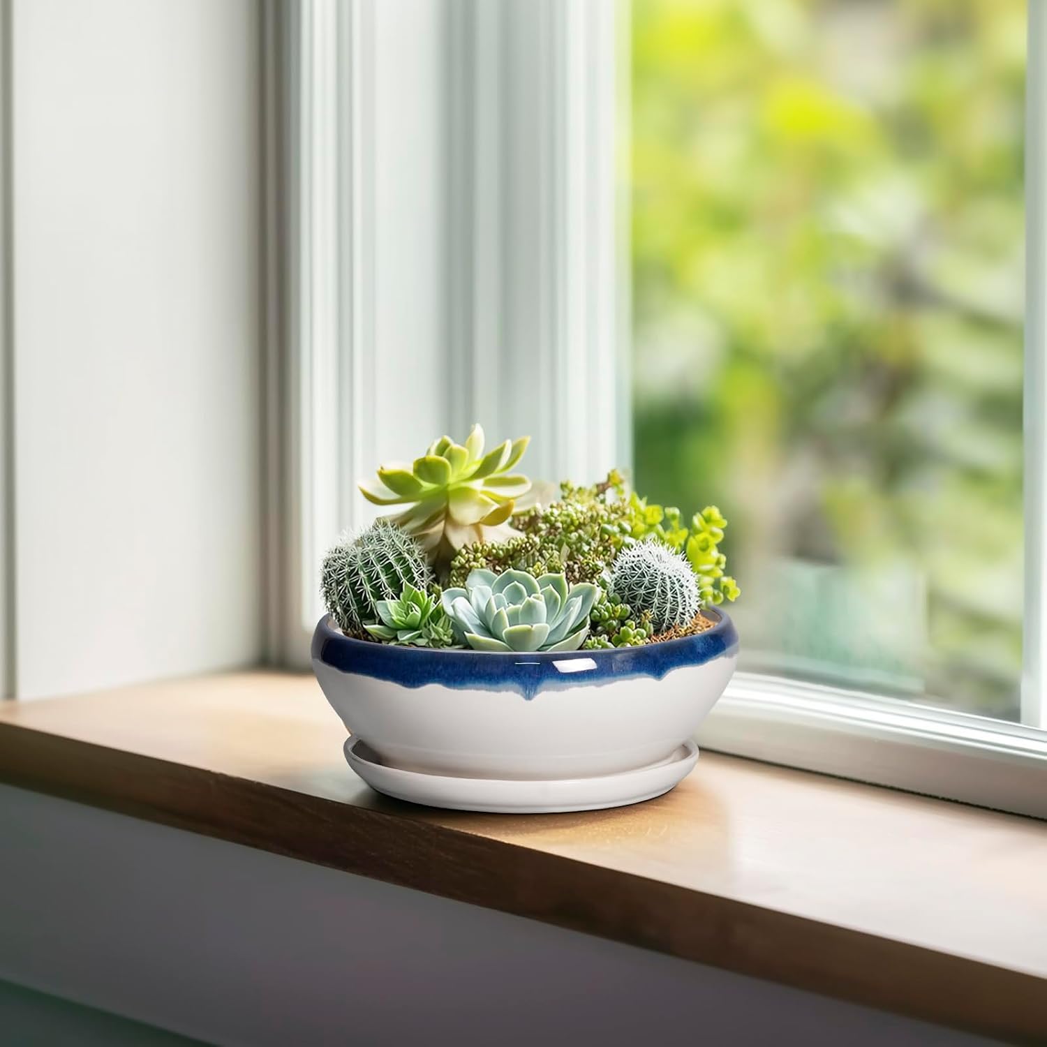 SQOWL 7 Inch Round Ceramic Succulent Planter Pot Drip Glazed Shallow Planter with Drainage Bamboo Tray for Indoor Plants