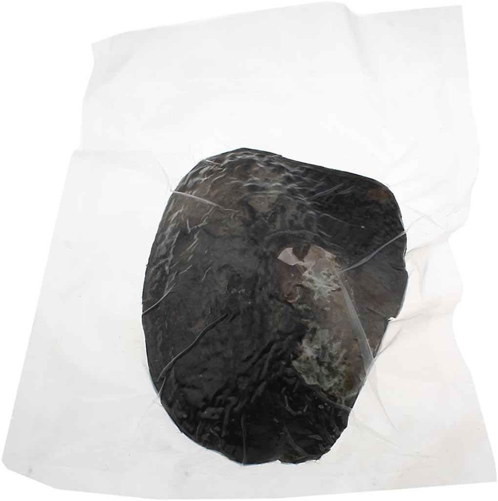 Oyster Pearls, Freshwater Cultured Big Oysters with Pearls Inside | Freshwater Cultured Oysters, Big Pearls Inside, Ideal For Home Decoration