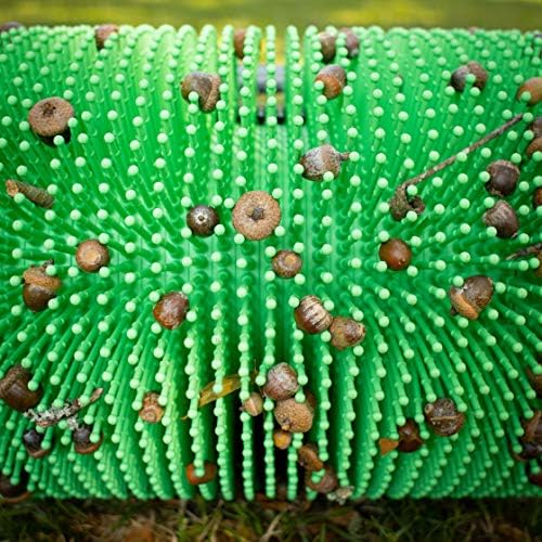 Bag-A-Nut 18" Push Acorn Harvester (Large - for Acorns 3/8" and Larger)