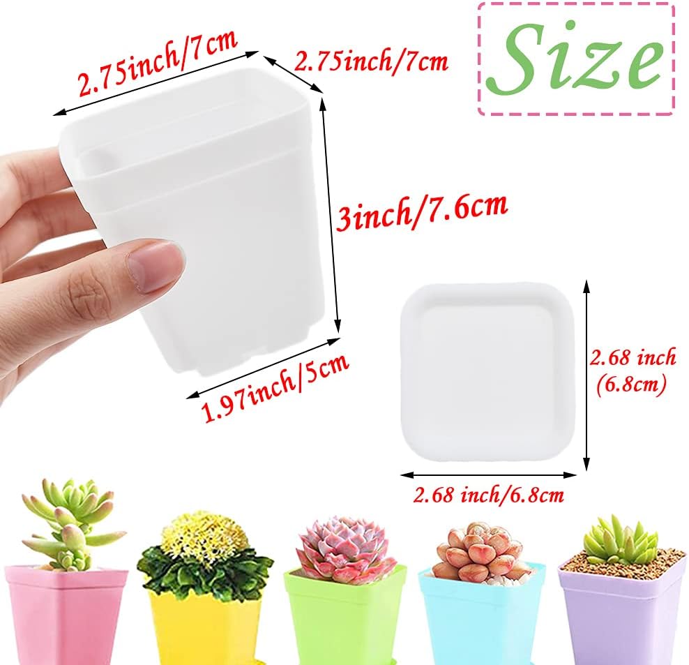 Haawooky 24 Pack Colorful Flower Pots Square Plastic Plant Pots Succulent Planter Nursery Pots with Saucers for Your Room
