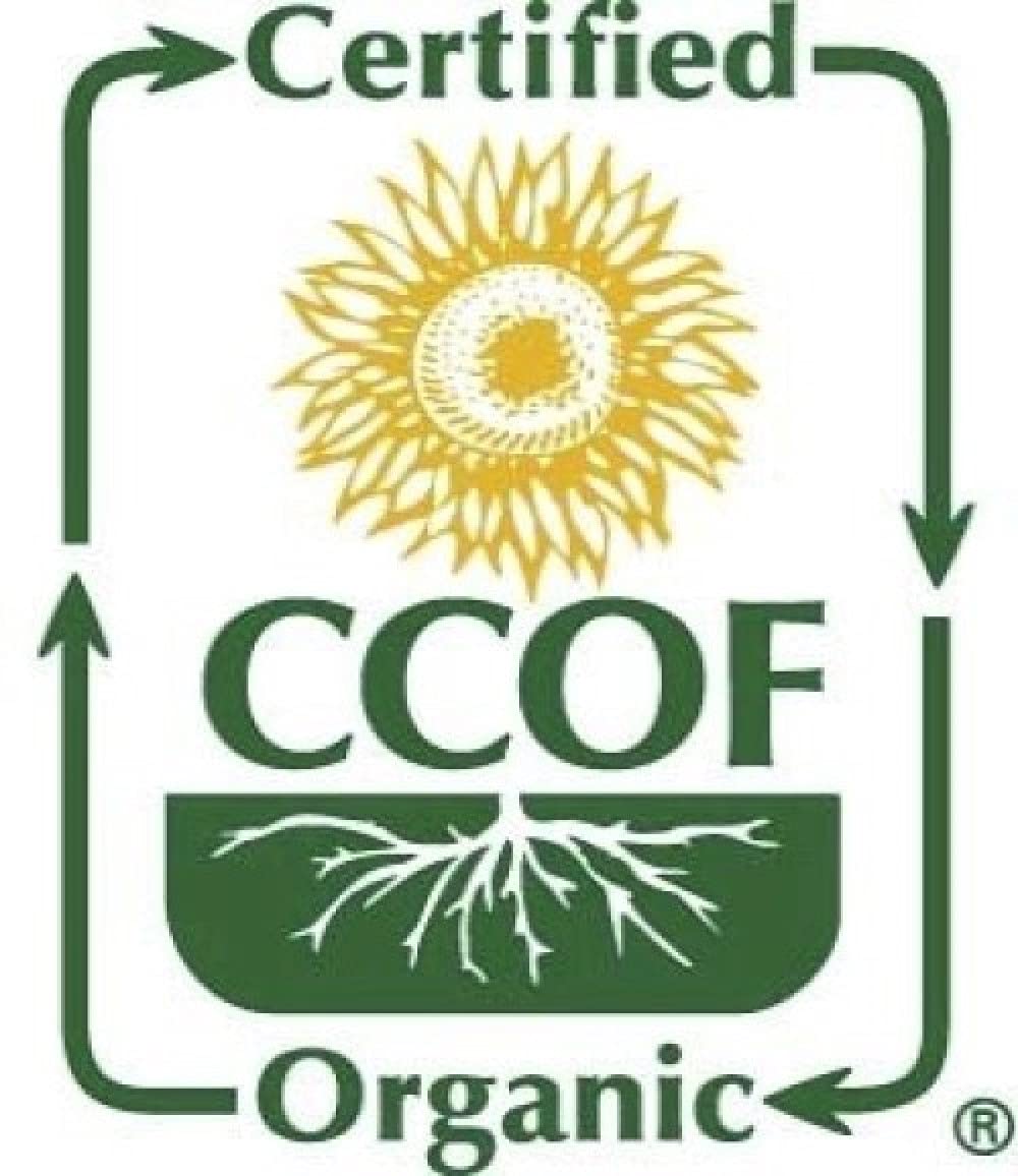 McCabe Organic Sweet Rice - Gluten Free & GMO-Free | Rich in Fibers and Minerals | USDA and CCOF Certified Organic | Product of USA | 3 Lbs