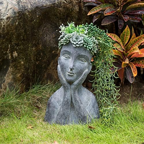 Newman House Studio Face Cactus Succulents Planter Pot - Indoor Outdoor Planter with Drainage Hole Garden Statues Cute Plants Pot Flower Pot