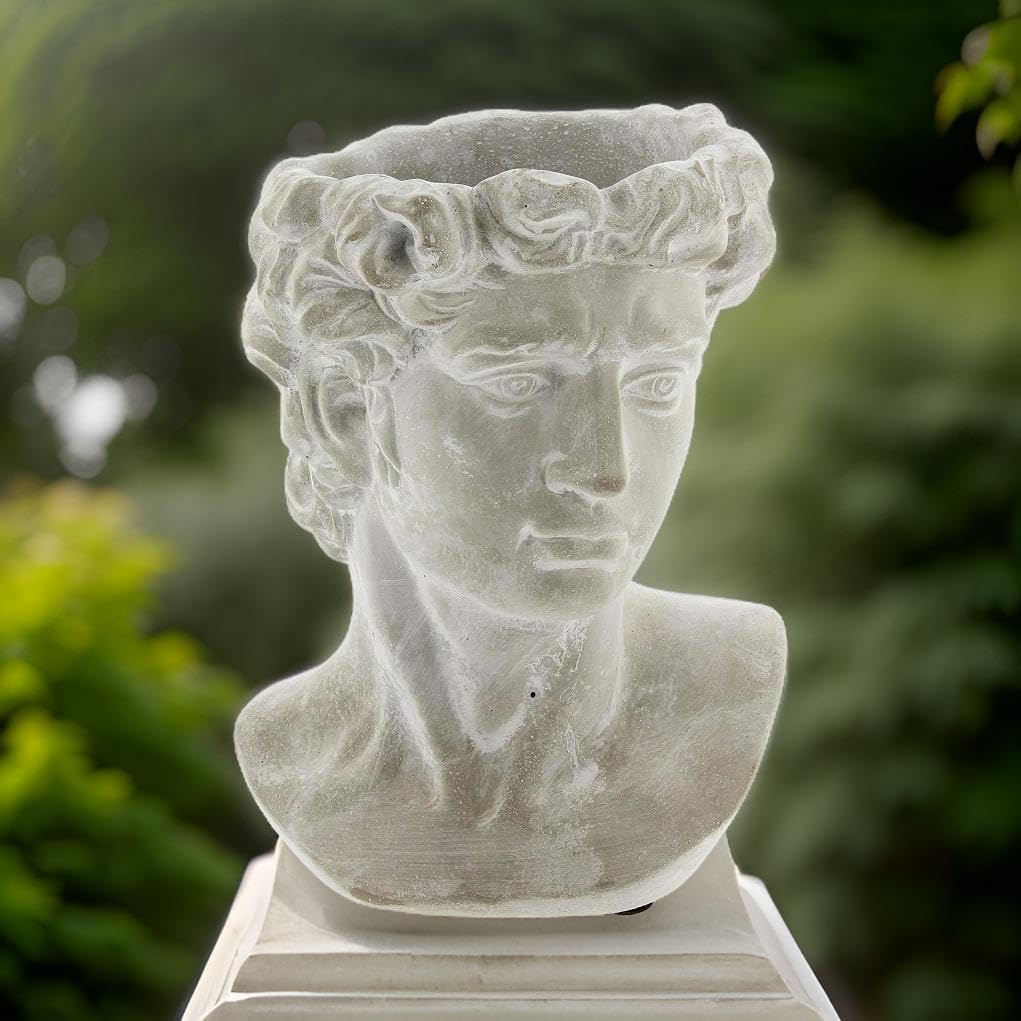 Greek Statue Head Cement Man Head David Planter (9")