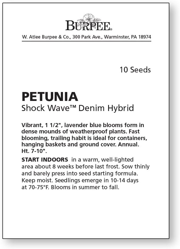 Burpee Shock Wave Denim Petunia Seeds 10 seeds