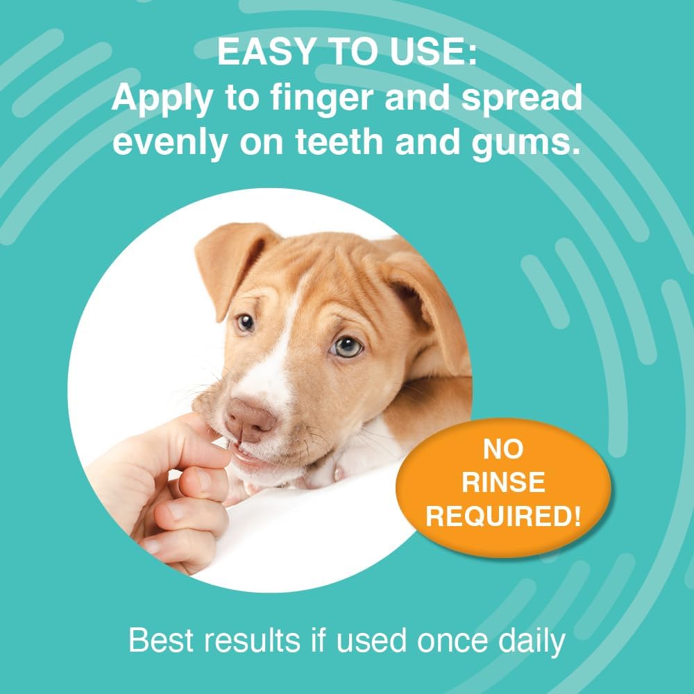 Nootie Medicated Dental Wipes for Dogs with Chlorhexidine, 60 Ct