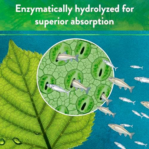 Down To Earth All Natural Fertilizers Solution Grade Fish Powder - 1 lb | Organic Water Soluble Nitrogen, Makes up to 50 Gallons of Liquid Fish Fertilizer for Soil or Foliar Spray 12-1-1