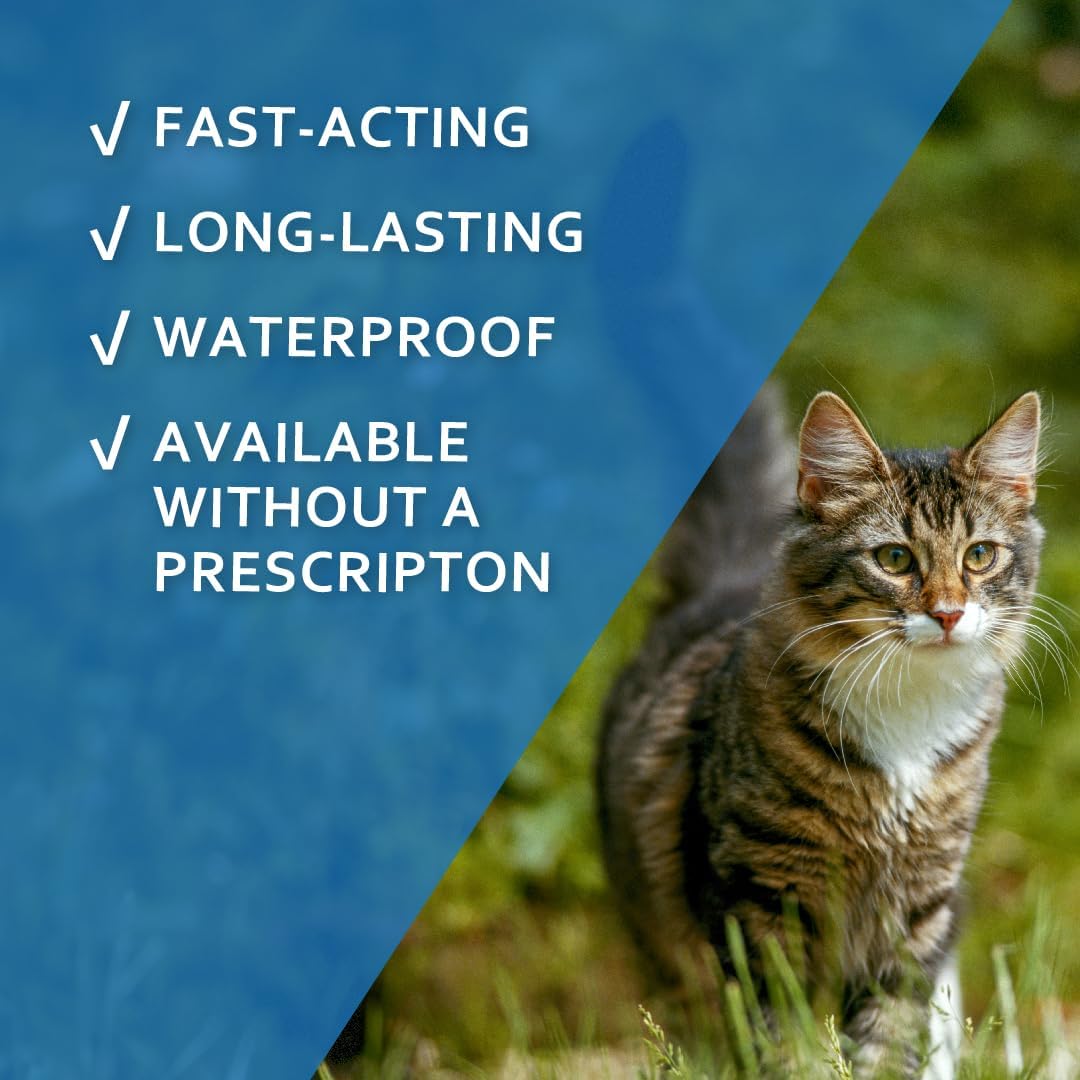 Sentry Fiproguard Flea & Tick Cats 1.5 lbs+, Fipronil, 6-Month | Ideal for Cats & Kittens 1.5 lbs+, Kills Fleas, Ticks & Chewing Lice for 30 Days