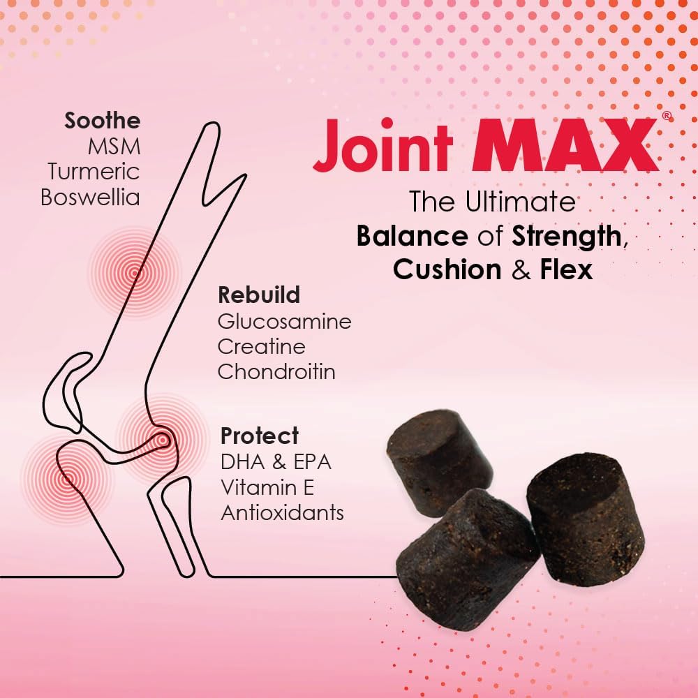 TS Joint Supplement Vet Formulated Pain & Inflammation Relief Treats Hip Dysplasia & Arthritis.Glucosamine, Chondroitin, Turmeric, MSM, HA, Creatine, Omega 3 EPA+DHA. All Dogs 240 Soft Chews