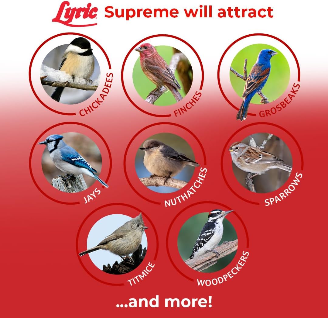 Lyric Supreme Wild Bird Seed