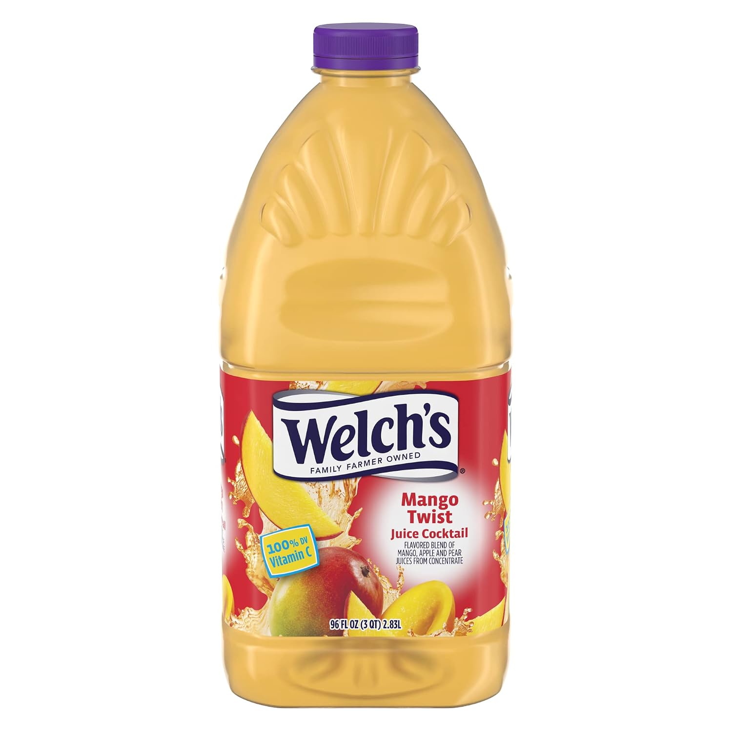 Welch's Juice Cocktail, No Preservatives, Concord Grape, 16 Ounce (Pack of 12)