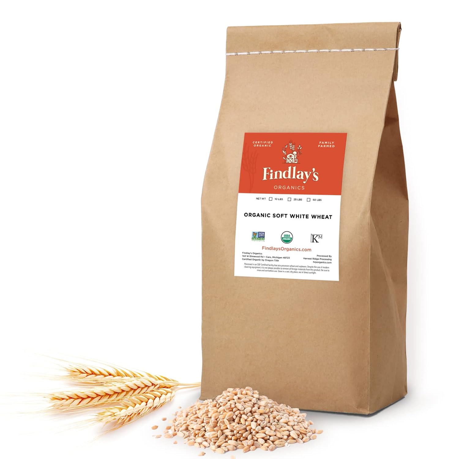 Soft White Wheat Berries Organically Grown in Michigan, Farmer Direct, USDA Organic Certified, Non-GMO, 25 Lbs Total // Findlay's Organics
