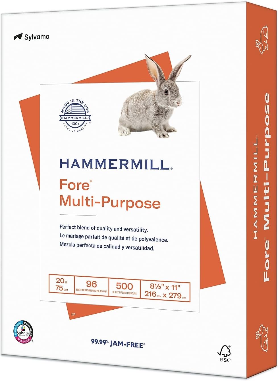 Hammermill Printer Paper, Fore Multipurpose 20 lb Copy Paper, 8.5 x 11-1 Ream (500 Sheets) - 96 Bright, Made in the USA, 103267