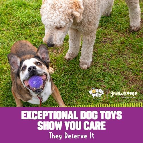 Gnawsome™ 3.5” Spiky Squeak & Light Ball Dog Toy - Medium, Cleans Teeth and Promotes Good Dental and Gum Health for Your Pet, Colors will vary