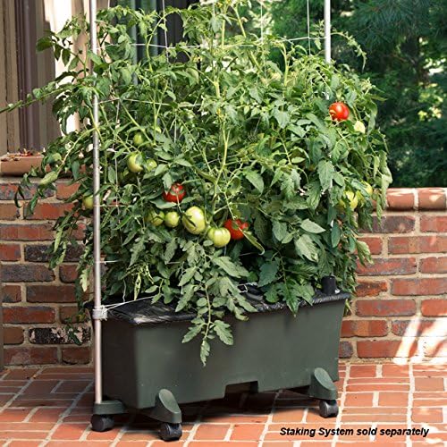EarthBox® Container Gardening System - Green