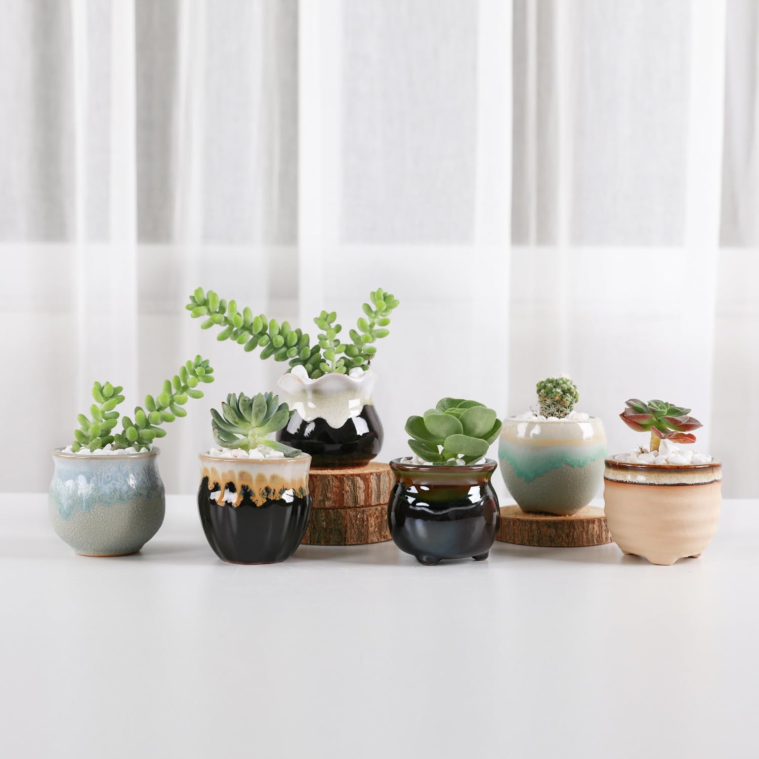 T4U Mini Succulent Ceramic Pots for Gifts, Small Planters for Decor 6 Pack | Planters with Drainage, for live cactus plants, bonsai tree starter pots, indoor windowsill decor, office desk accents