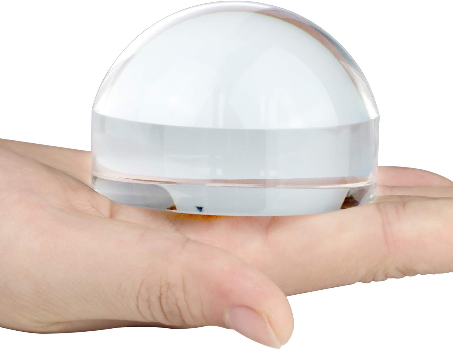 Dandelion 6X Dome/Paperweight Magnifier w/Pouch Table Magnifying | Diameter 2.5 inches,magnifying glass paperweight,reading magnifier for books,Suitable for viewing maps, blueprints