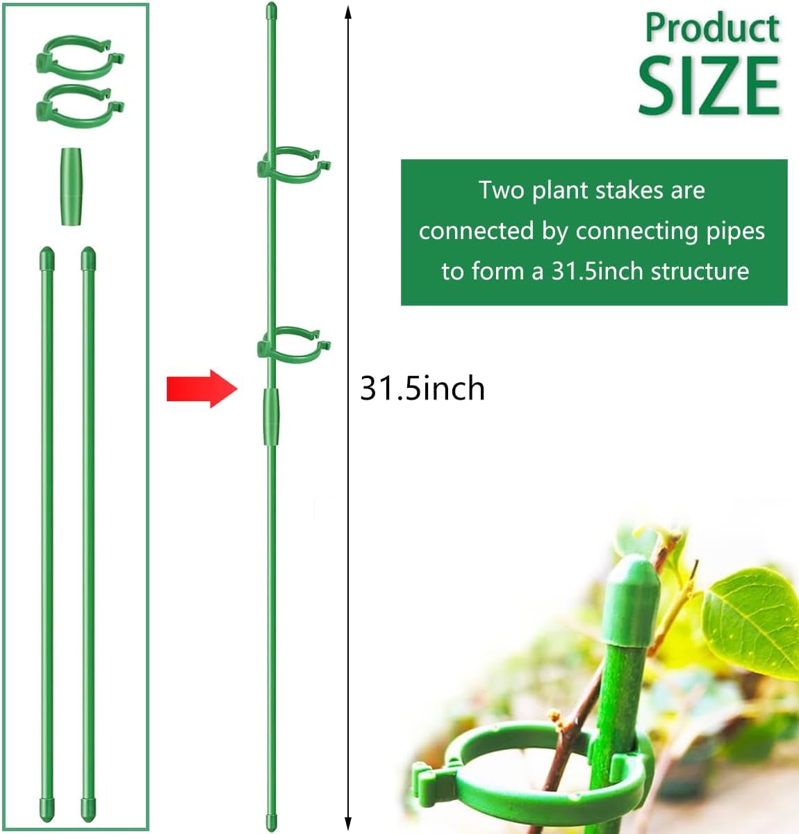 Belit 8 Pack Plant Supports for Small Plants, Garden Flowers Green Plant Support Ring, Planter Support Ring for Schlumbergera, Clivia, Succulents