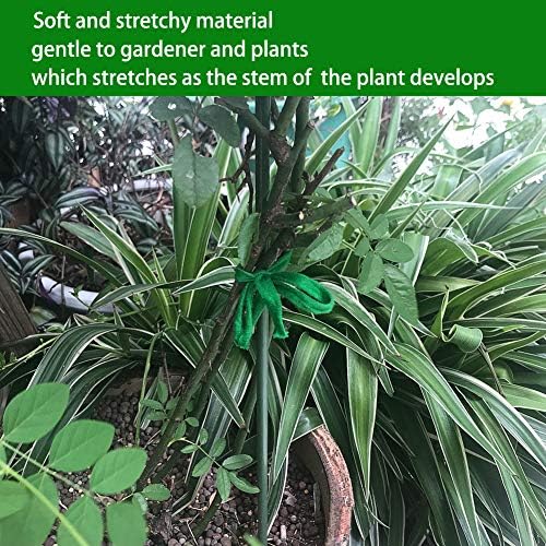 Shintop Plant Ties, 164 Feet 8mm Green Garden Twine for Tomato