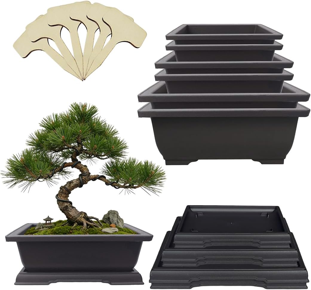 MUZHI 6PCS/Pack Retro Style Basin Plastic Flower Pot 6.5 Inch Flower Bonsai Tree Plant Bowl Nursery Pots Maceta Cuadrada Simulational Purple Sands Pots with Tray Rectangle Small