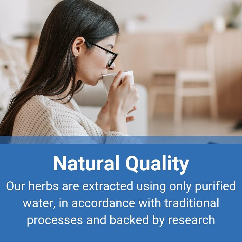 Bearded Scutellaria Herb - Ban Zhi Lian (5:1 Concentrated Herbal Extract Granules, 100g)