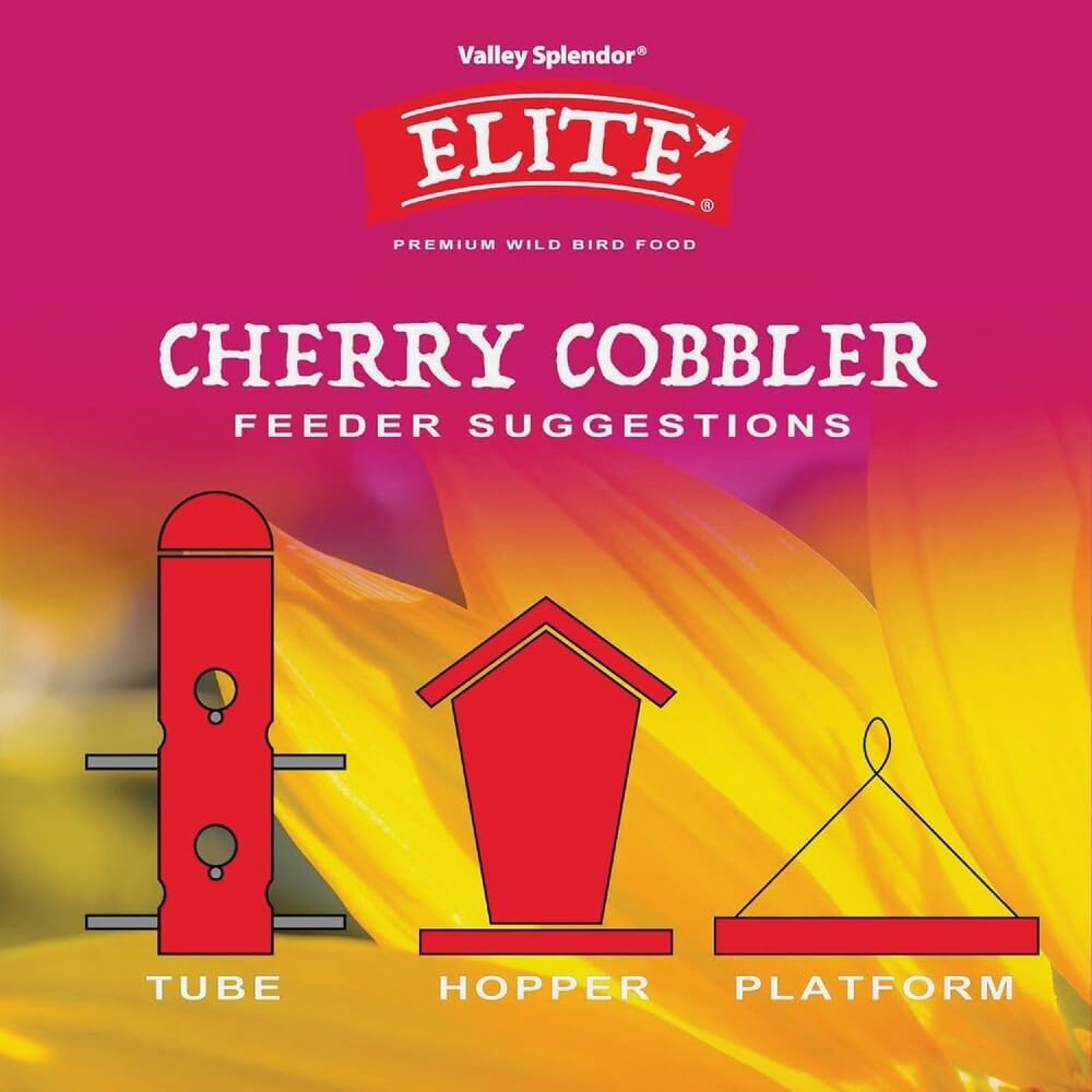 Cherry Cobbler