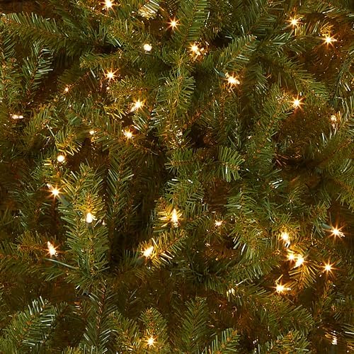 National Tree Company 7ft Pre-Lit Dunhill Fir Artificial Christmas Tree | 700 Clear Lights, 2,144 Tips, Includes Stand, Green