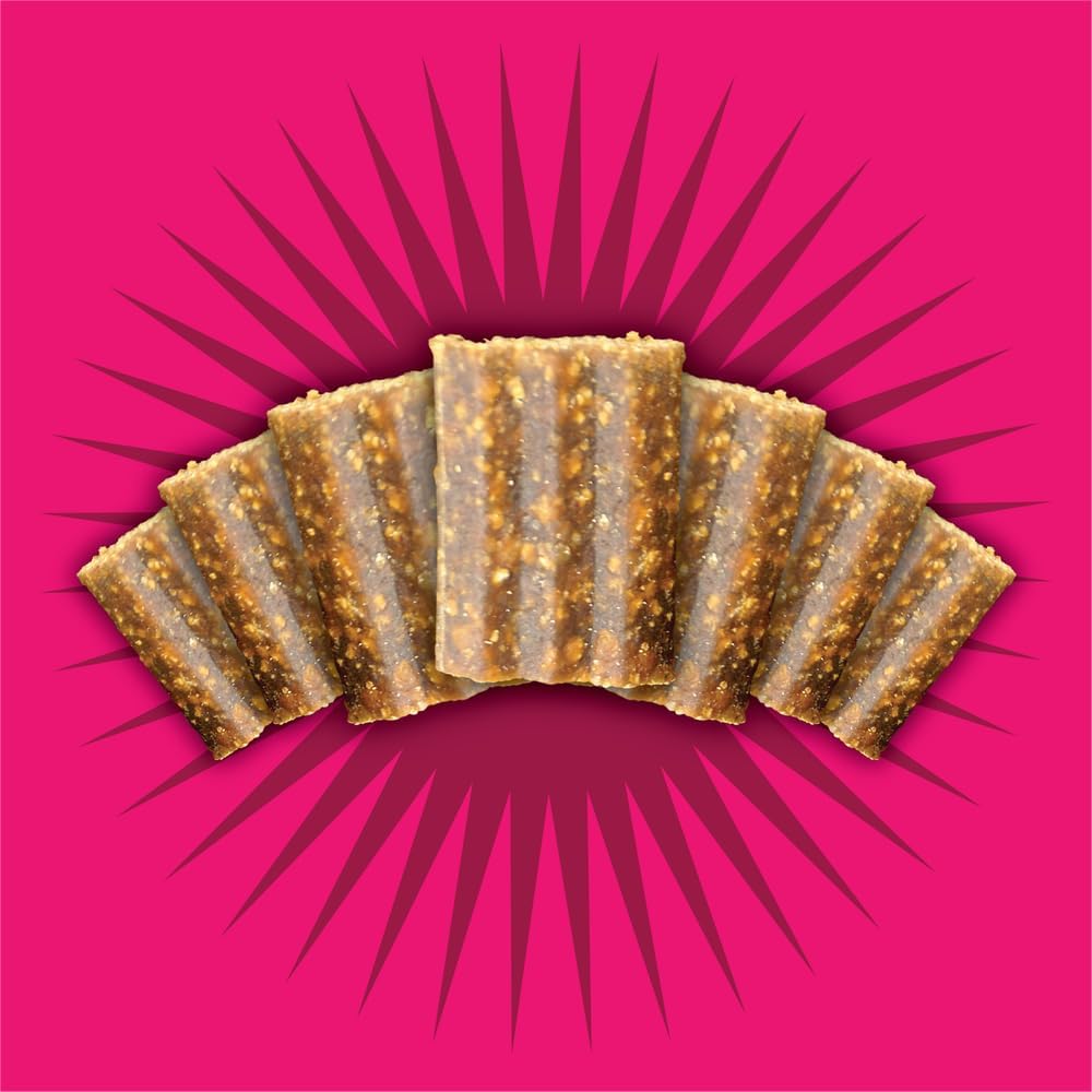 Triumph Free Spirit Grain Free Salmon and Vegetable Recipe Jerky Bites Soft Dog Treats, 20 Ounce (Pack of 2)