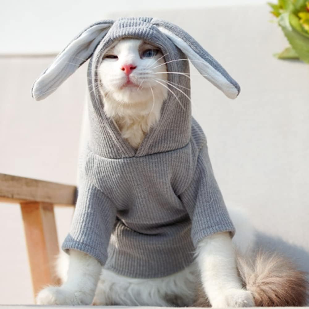 ANIAC Dog Hoodies Sweatshirt with Bunny Ears Spring Puppy Clothes for Small Dog Girl Boy Soft Doggy Sweater Cat Apparel Pet Clothing for Kitten