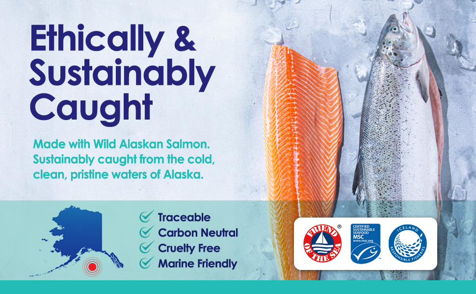 Salmon Oil For Dogs