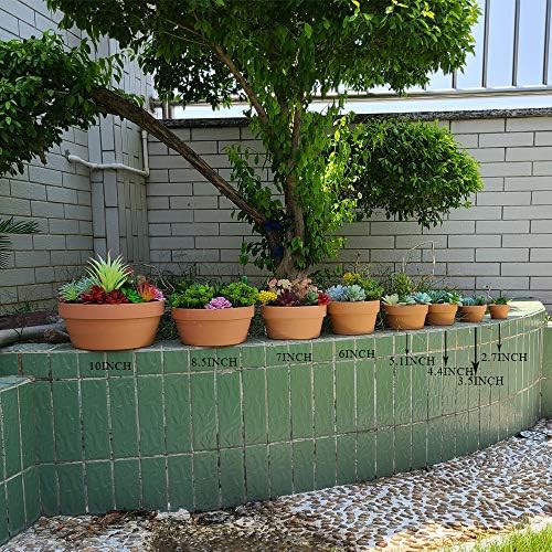 Yishang 6 Inch Terracotta Shallow Planters, Ceramic Flower Clay Plant Pots with Drainage Hole