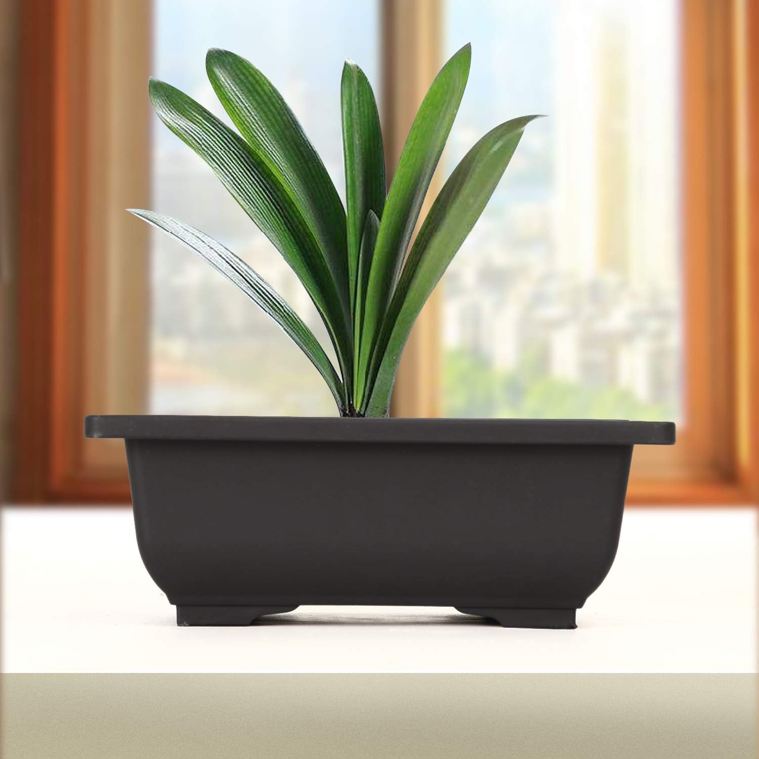KINJOEK 25 PCS 6.5 Inch Plastic Bonsai Training Pots, Rectangular Plant Bonsai Tree Pot