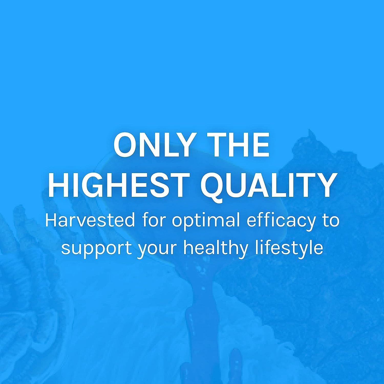 Host Defense Breathe* Capsules - Immune & Respiratory Support Mushroom Supplement - Herbal Lung Health Supplement with Chaga, Reishi & Cordyceps - 30 Capsules (15 Servings)*