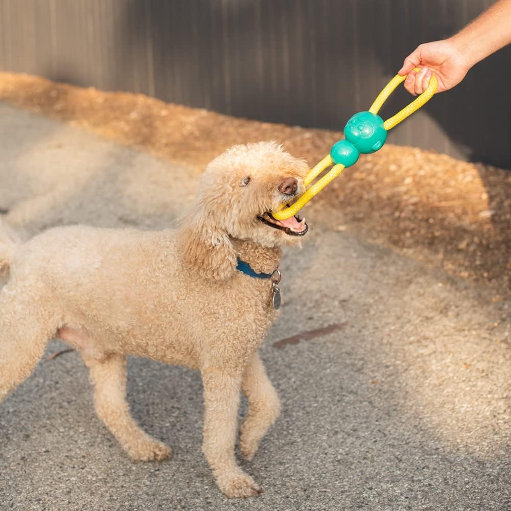 ZippyPaws RopeTugz Durable Dog Pull Rope Toy - Blue Monkey | Interactive Tug of War for Large, Medium & Small Dog, Squeaky Pet Product to Keep Them Busy, Made w/ Heavy Duty Climbing Rope