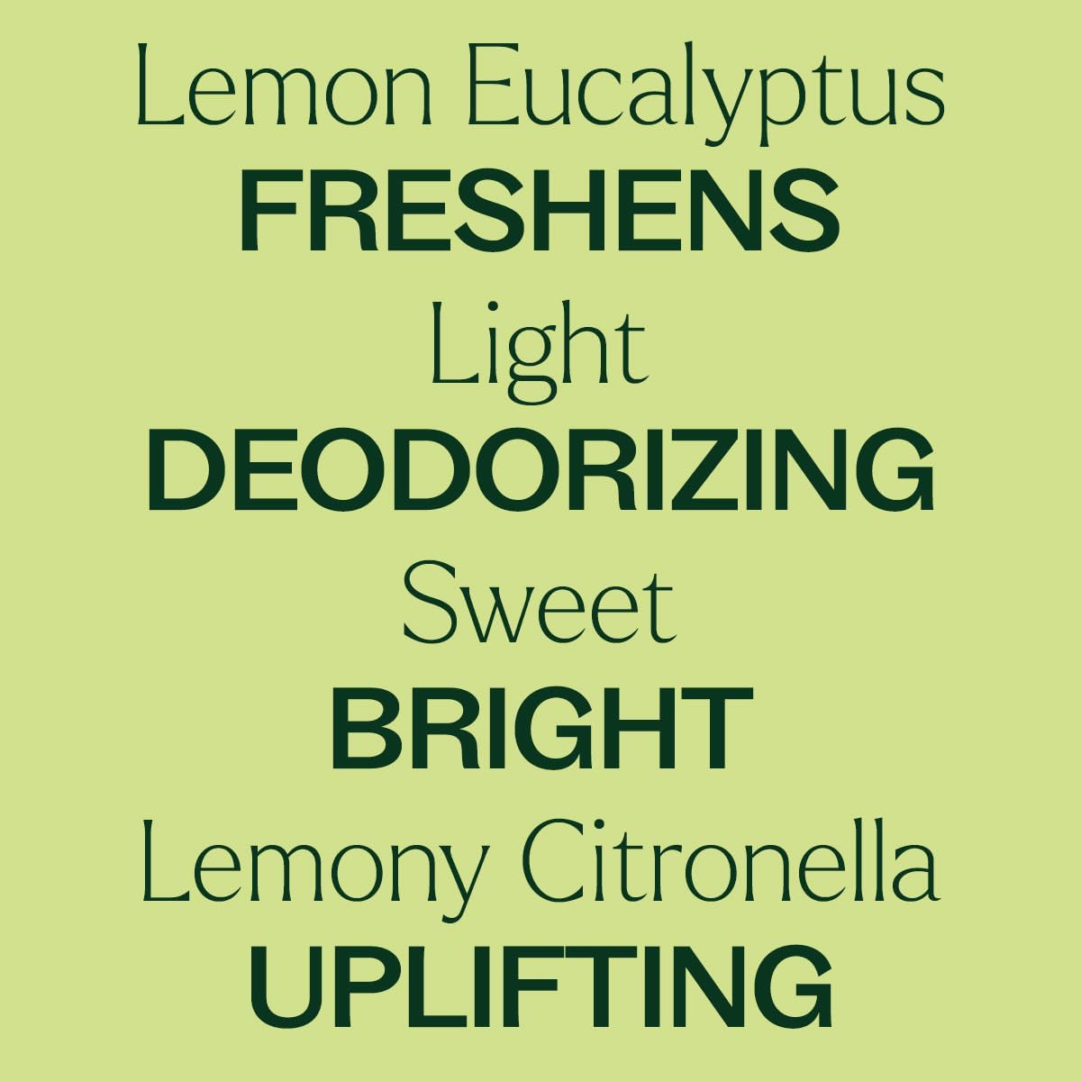 Plant Therapy Organic Lemon Eucalyptus Essential Oil 10 mL, Pure, Undiluted | Pure & Undiluted, USDA Certified Organic