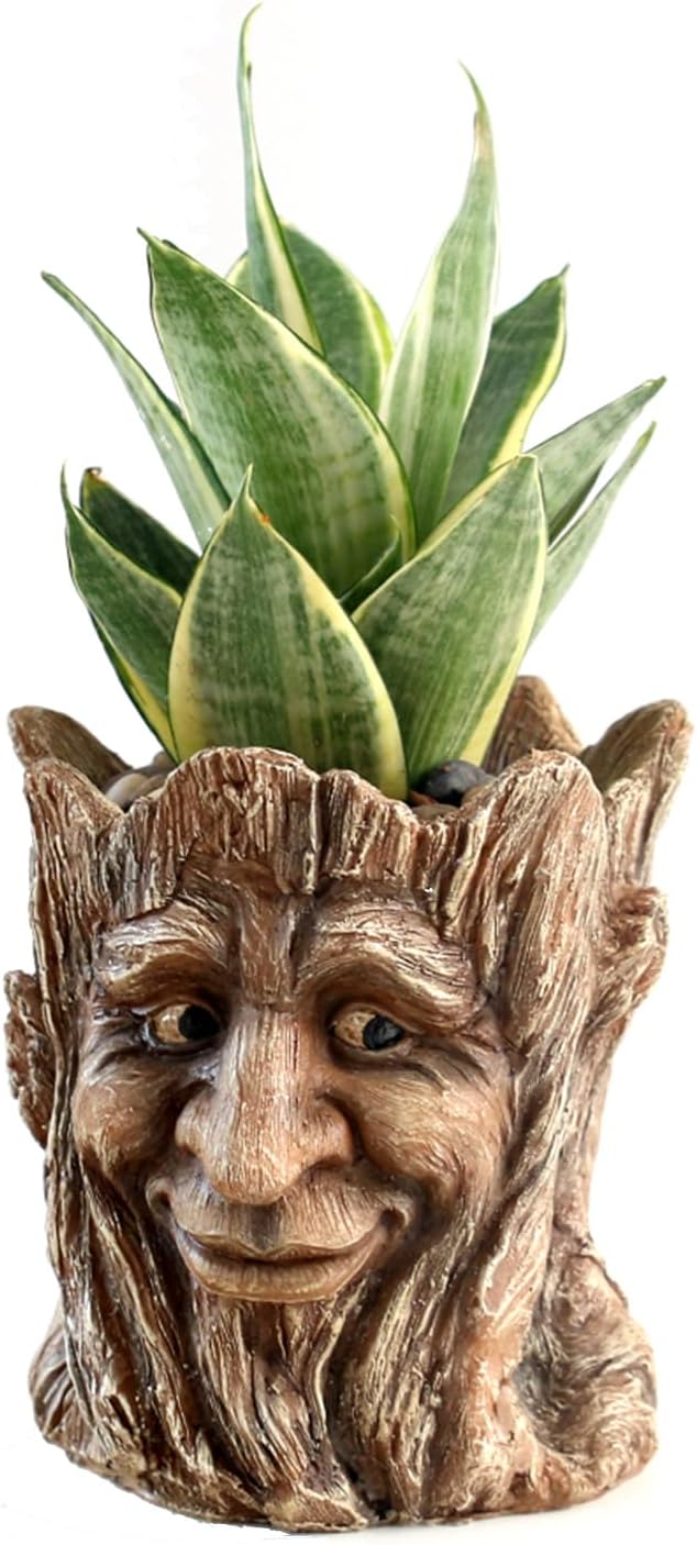 Funny Planter Head Face Plant Pot with Drainage Hole Resin Succulent Plant Holder Pencil Holder Desk Organizer Office Garden Gift (Smile Face)