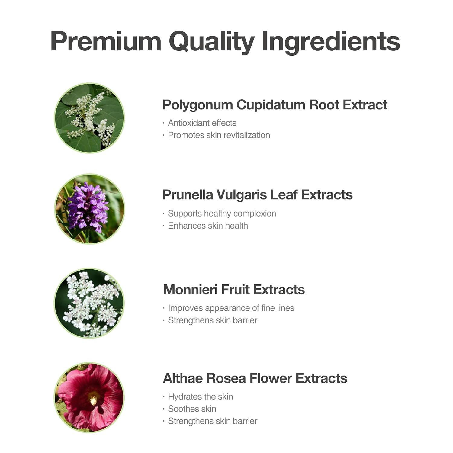 OxygenCeuticals Acell-300 Fluid – Patented ACELL-300 Complex with Plant-Based Oils, Strengthens Skin Barrier & Locks Moisture