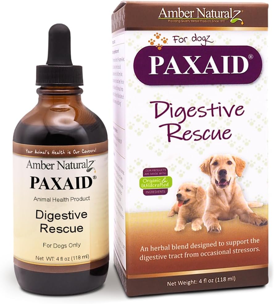 Amber NaturalZ Paxaid Dog Digestive Rescue Drops, Herbal, 1 FL OZ | Herbal digestive support drops for dogs & puppies; supports gut health, firm stools, normal appetite; USA-made