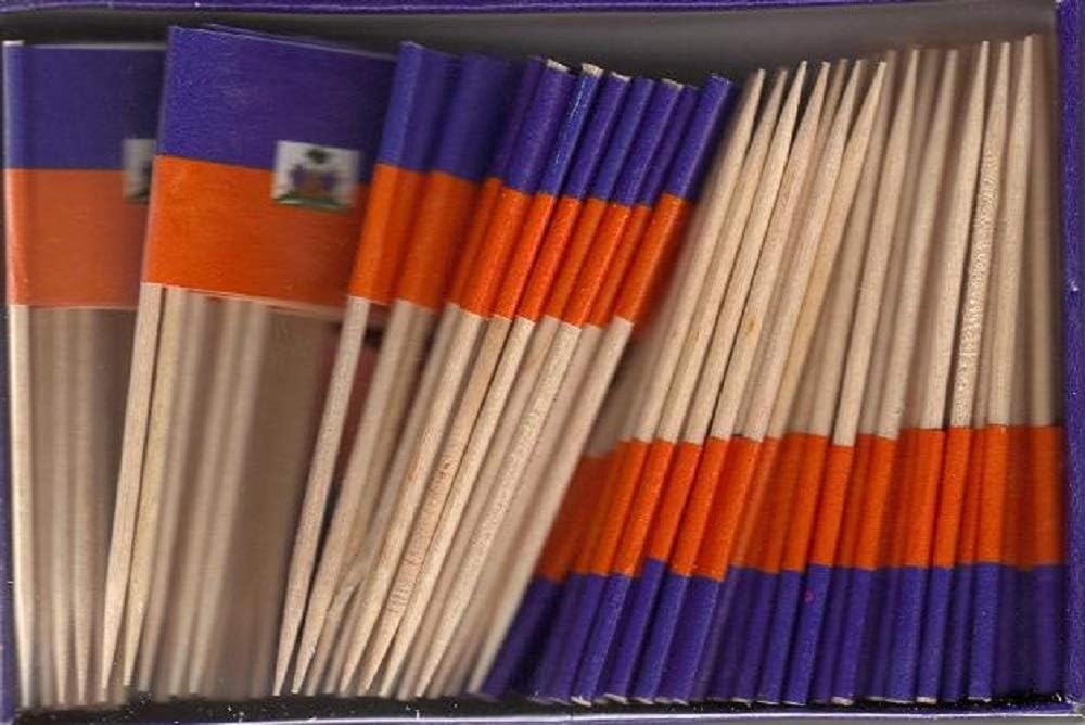 One Box of 100 Nicaragua Toothpick Flags, 100 Small Mini International Flag Cupcake Toothpicks or Cocktail Picks