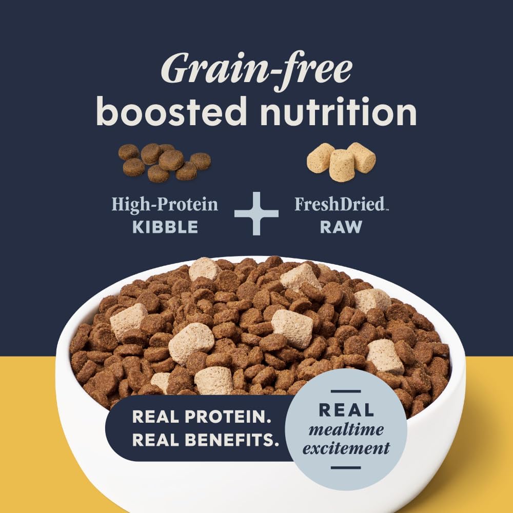 Instinct RawBoost, Dry Cat Food + Freeze Dried, Real Chicken, 10 lb Bag | High-protein kibble with FreshDried raw bites, grain-free, cage-free chicken recipe, minimally processed, complete nutrition