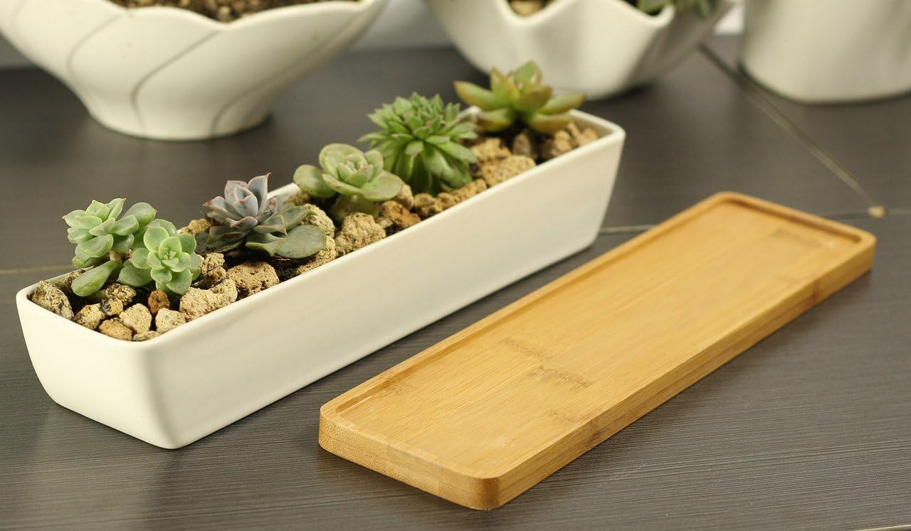 11inch Long Rectangle White Ceramic Succulent Planter Pots,with Bamboo Saucers. Product Size:11x2.23x1.69inch.