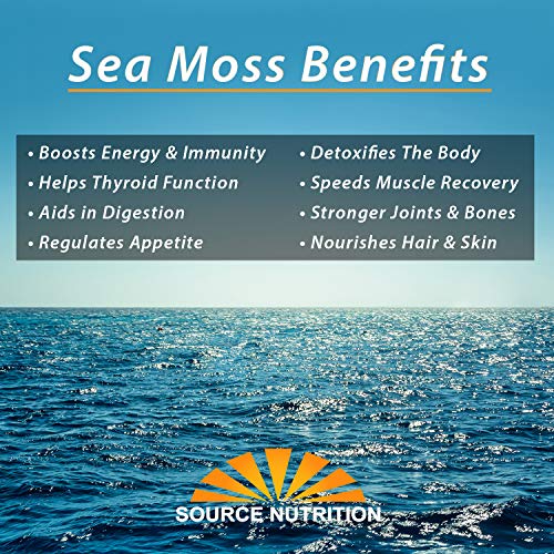 1 lb Wild Crafted Raw Sea Moss - Perfect for Gel & Smoothies, Clean Ocean Harvest, Hand Picked & Sun Dried - Bulk Irish Moss Superfood