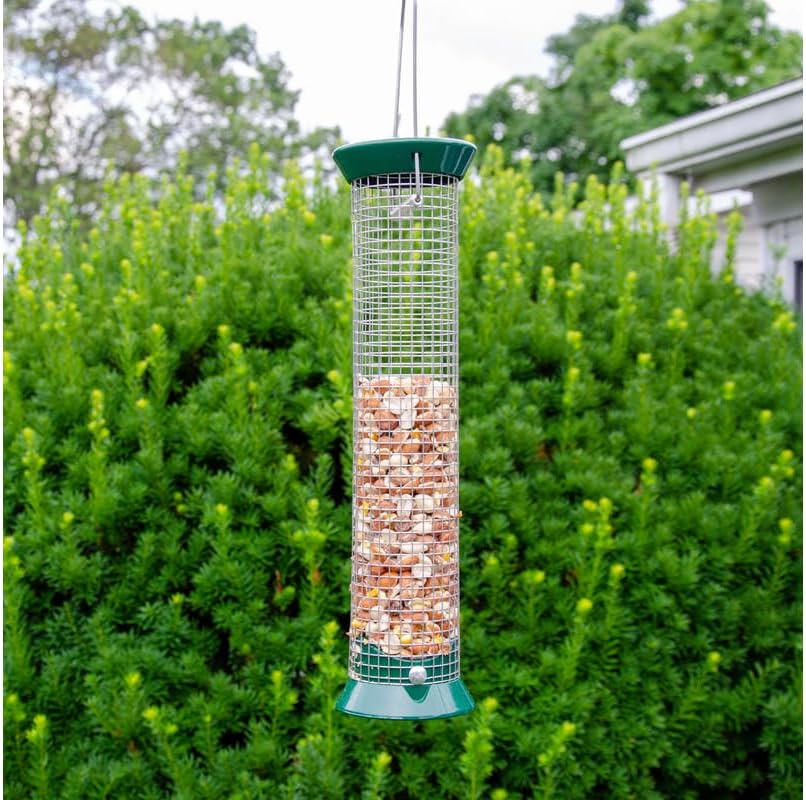 Lyric Woodpecker Wild Bird Seed for Outside Feeders, Shelled, No Waste Bird Seed with Nuts & Dried Fruit, 5 lb Bag | For outside feeders, shelled