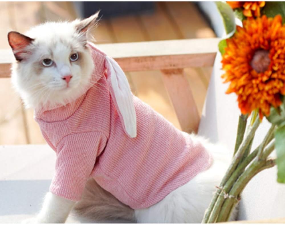 ANIAC Dog Hoodies Sweatshirt with Bunny Ears Spring Puppy Clothes for Small Dog Girl Boy Soft Doggy Sweater Cat Apparel Pet Clothing for Kitten