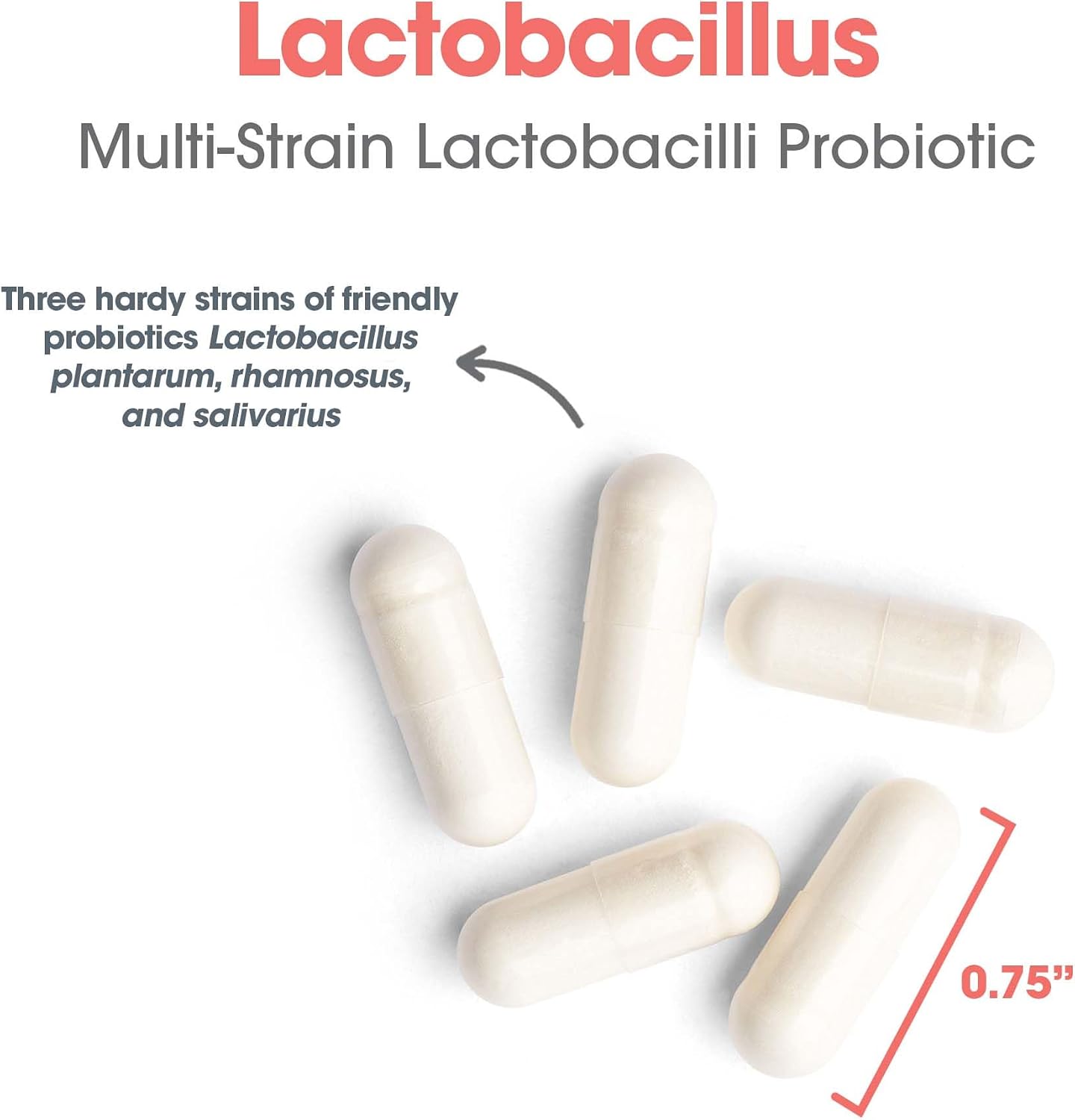 Allergy Research Group ARG Lactobacillus - Multi-Strain Probiotic Capsule - Gut & Digestive Health Support - Dairy Free