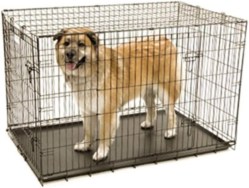 Precision Pet Products Two Door Provalue Wire Dog Crate, 24 Inch, For Pets 15-30 lbs, With 5-Point Locking System