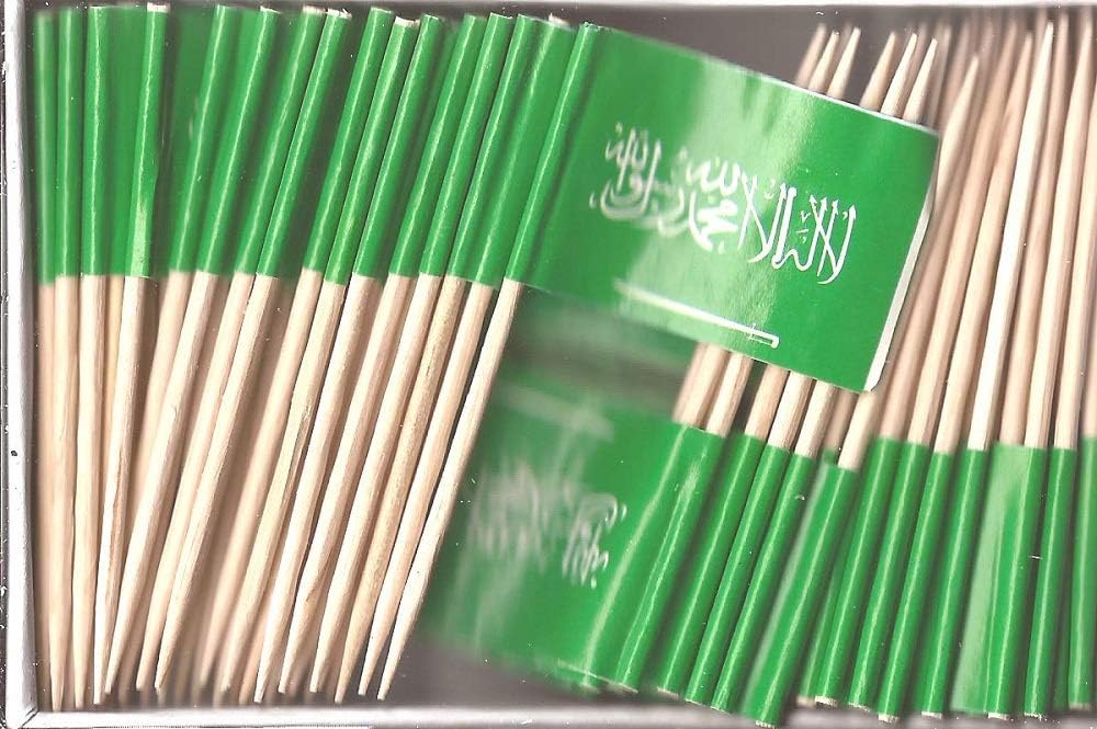One Box of 100 Nicaragua Toothpick Flags, 100 Small Mini International Flag Cupcake Toothpicks or Cocktail Picks