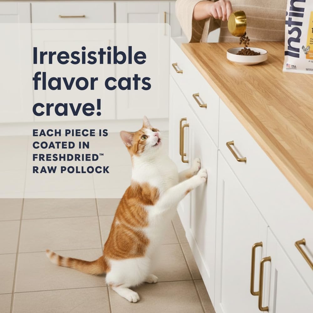 Instinct Original Dry Cat Food, Raw Coated Kibble, Real Chicken, 11 lb. Bag | Raw-coated kibble with cage-free chicken for strong muscles, digestive health, and healthy skin & coat, grain-free